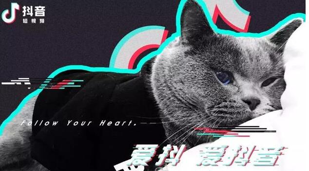 大熊会靠谱么:抖音怎么进行流量变现-第2张图片-小七抖音培训 大熊会靠谱么:抖音怎么进行流量变现-第2张图片-小七抖音培训